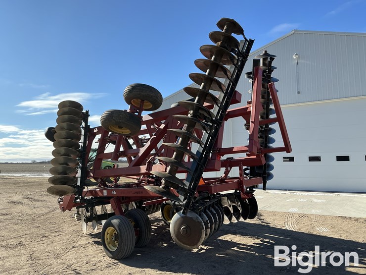 sunflower-1434-26-image-7