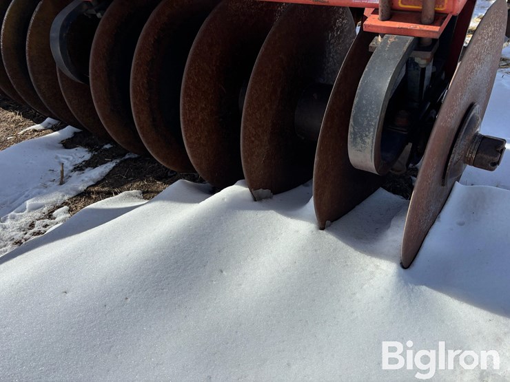 sunflower-4212-16-image-13