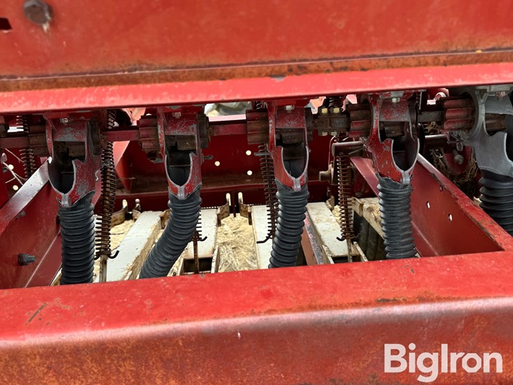 international-620-image-19