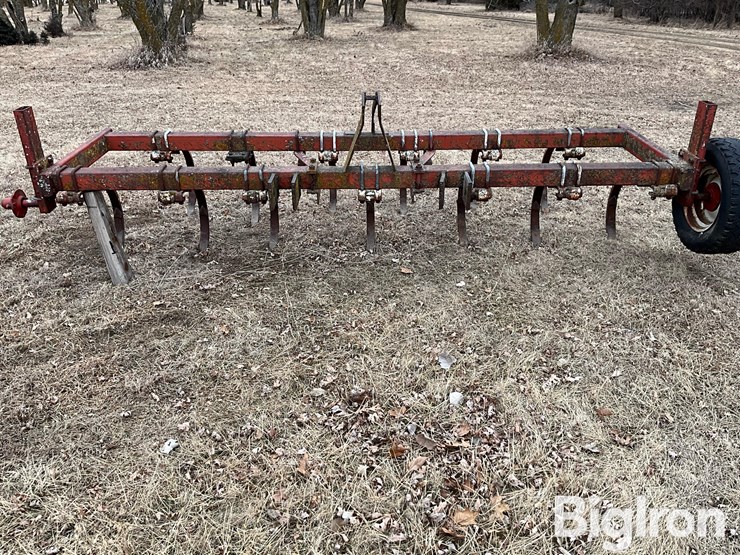 international-55-image-2