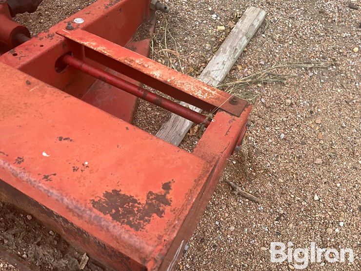 international-70-image-12