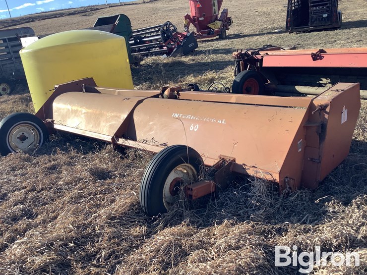 international-60-image-6