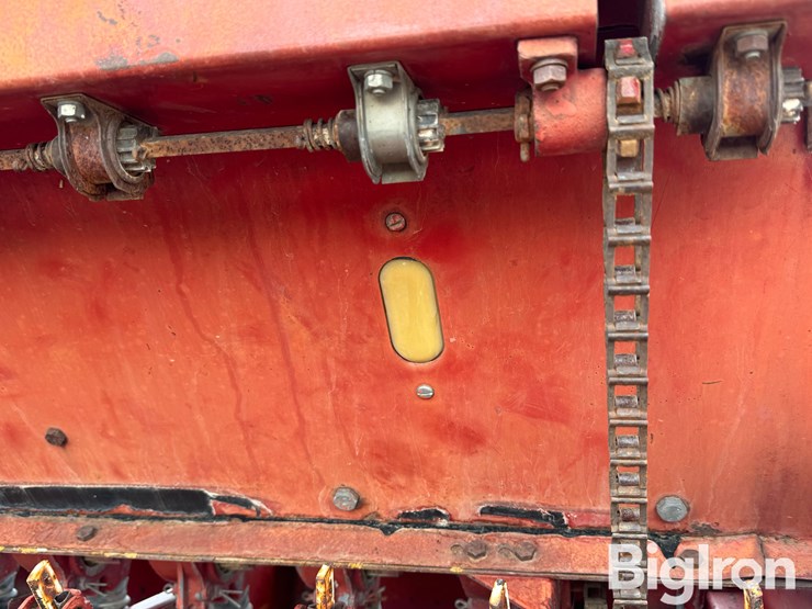 international-620-image-16