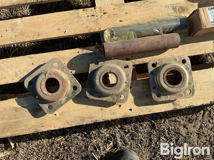 international-496-image-9