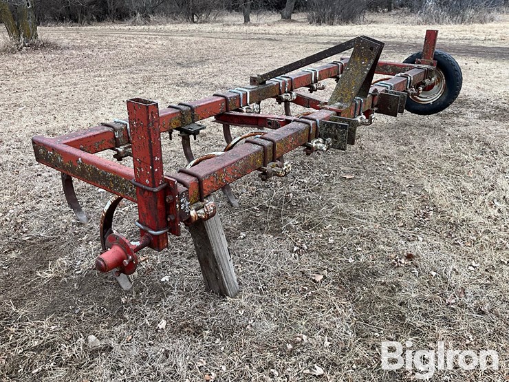 international-55-image-3