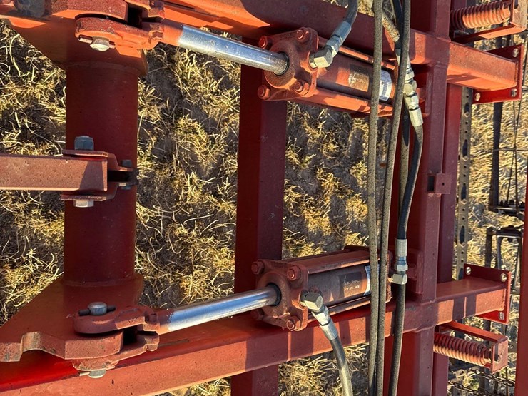 sunflower-6332-26-image-50