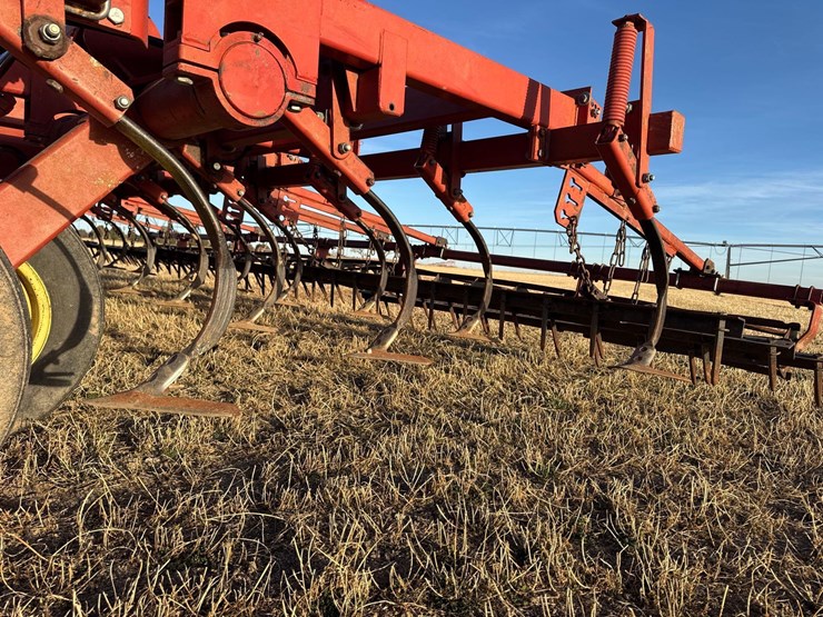 sunflower-6332-26-image-42