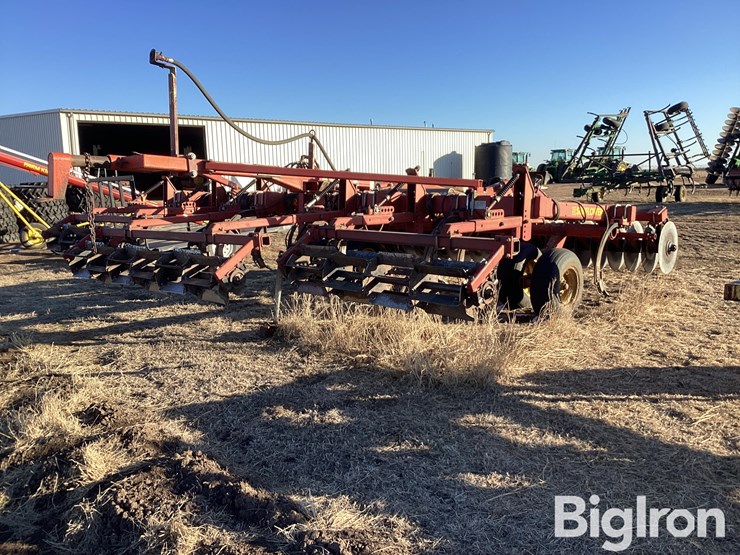 sunflower-4212-13-image-5