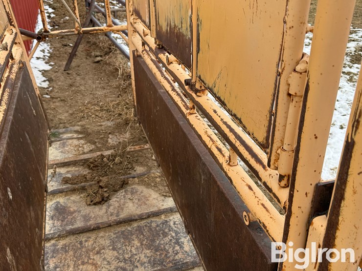 cattlelac-450-image-15