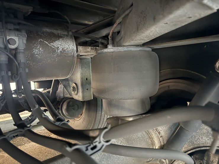 2007-great-dane-53-image-17