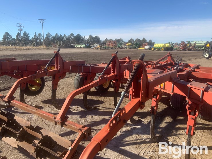 sunflower-4311-18-image-13