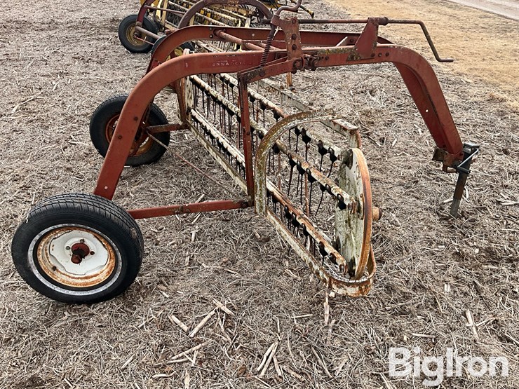 international-16-image-4