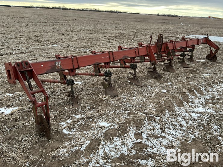 international-3-image-3