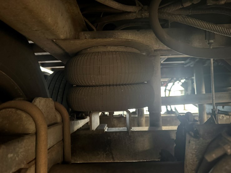 2005-great-dane-53-image-20