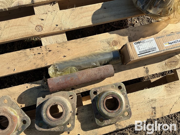 international-496-image-10