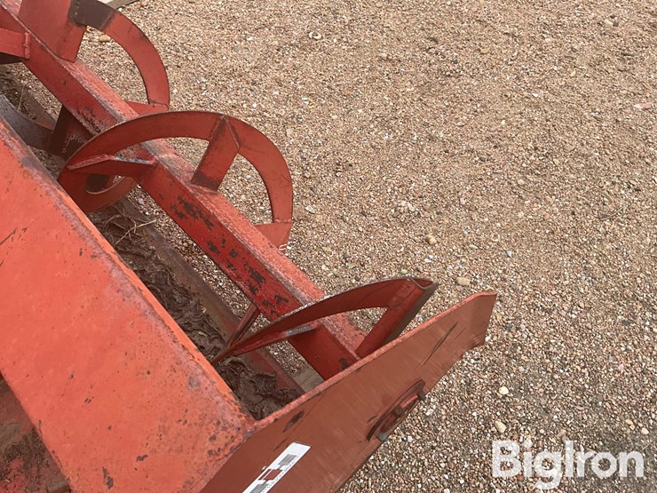 international-70-image-18