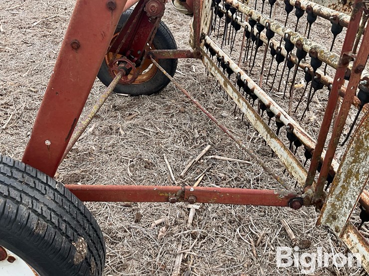 international-16-image-12