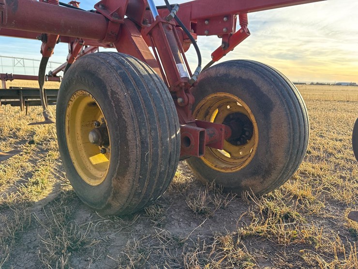 sunflower-6332-26-image-38