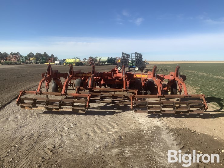 sunflower-4311-18-image-6