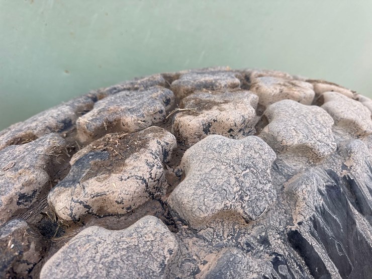 orthman-797-image-29