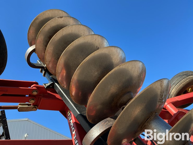 sunflower-1434-26-image-16