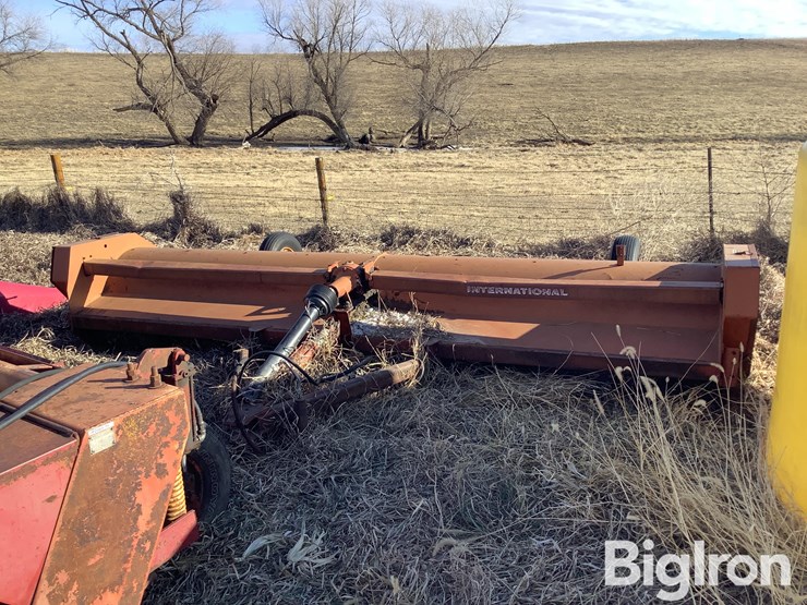 international-60-image-2