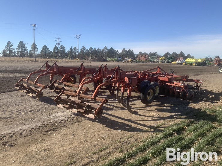 sunflower-4311-18-image-5