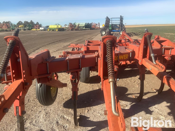 sunflower-4311-18-image-20