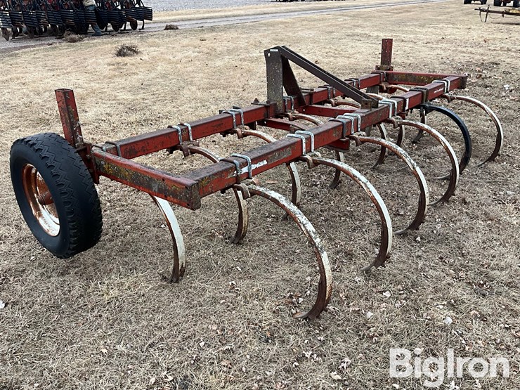 international-55-image-7