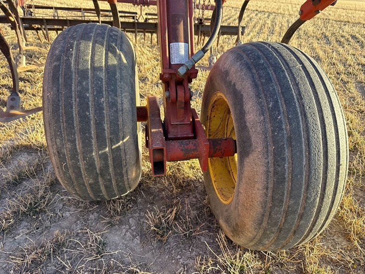 sunflower-6332-26-image-39