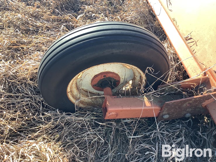 international-60-image-11