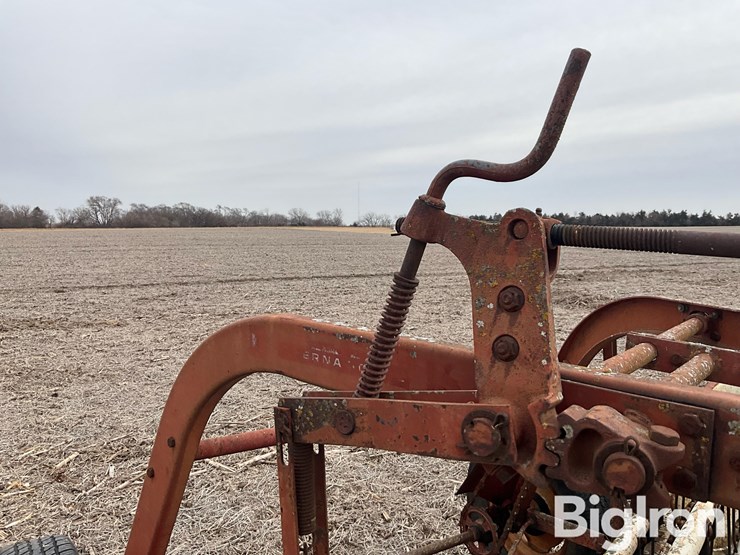 international-16-image-11