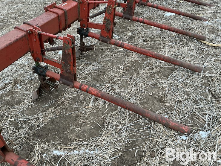 international-3-image-17