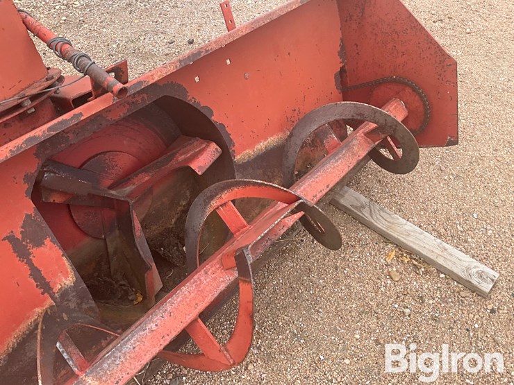 international-70-image-14