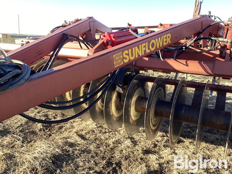 sunflower-4212-13-image-14