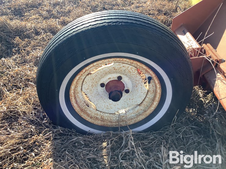 international-60-image-10