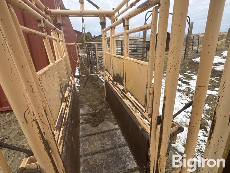 cattlelac-450-image-14