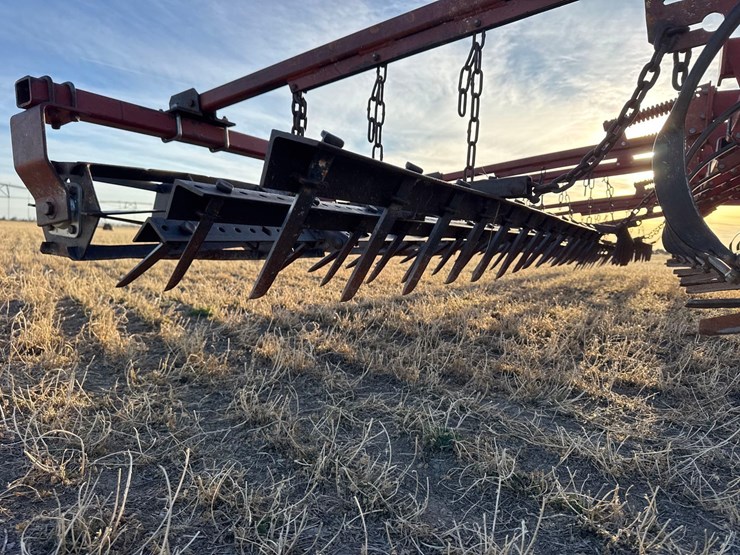 sunflower-6332-26-image-27