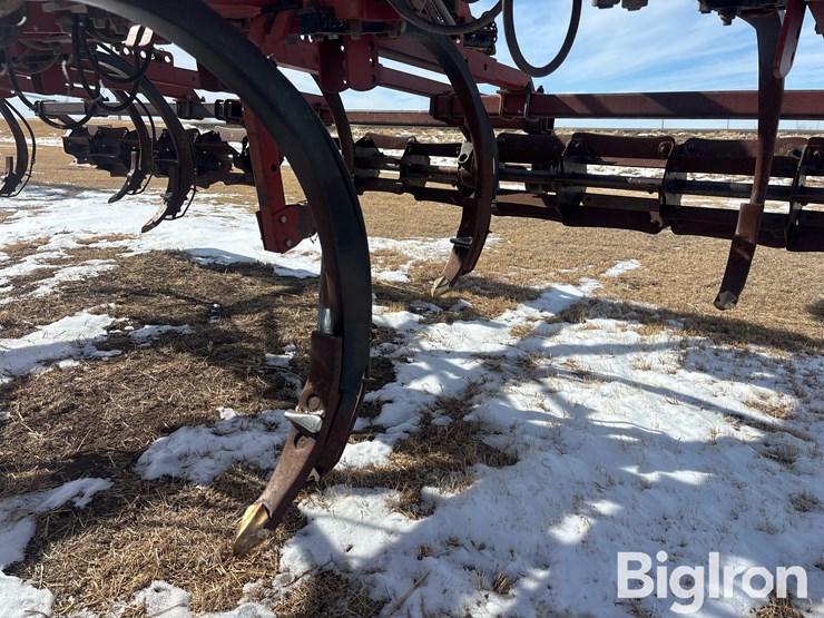 sunflower-4212-16-image-16