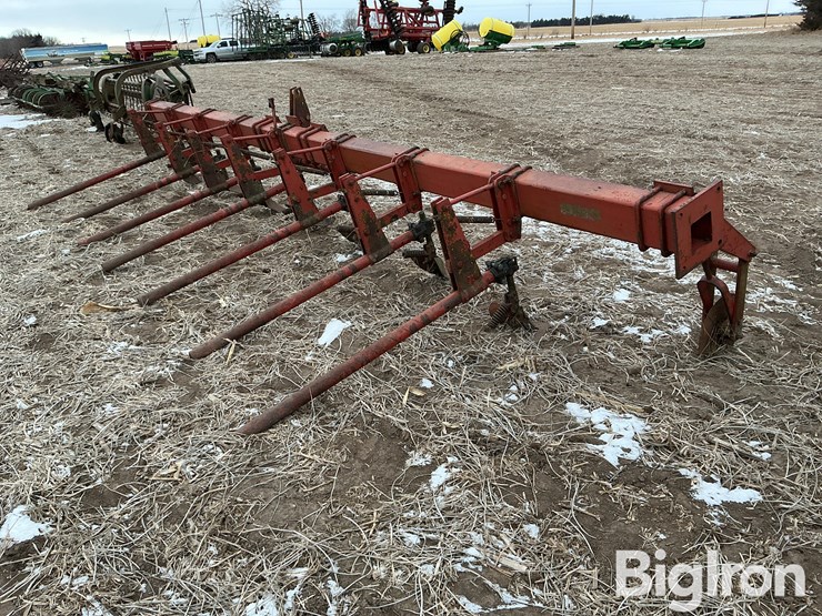 international-3-image-5