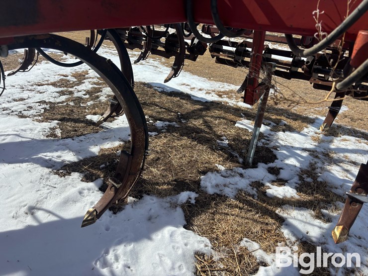 sunflower-4212-16-image-15