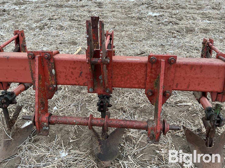 international-3-image-9