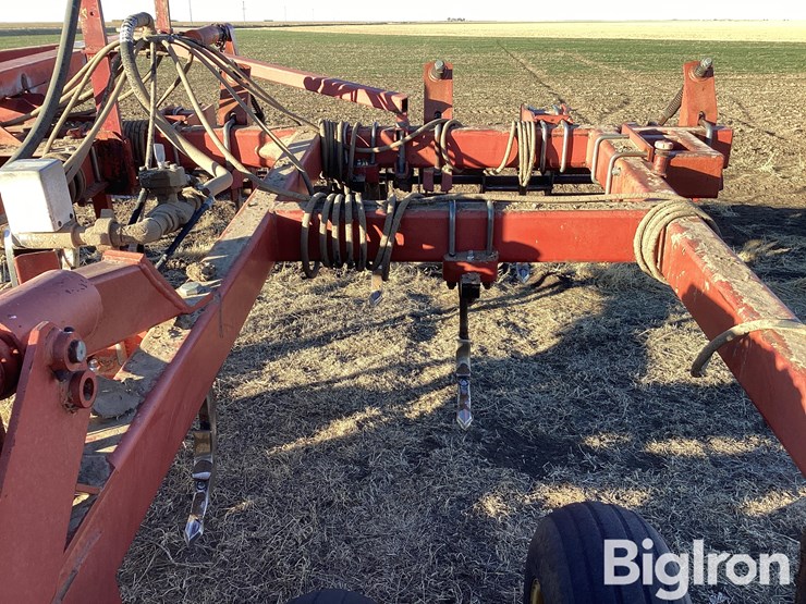 sunflower-4212-13-image-10