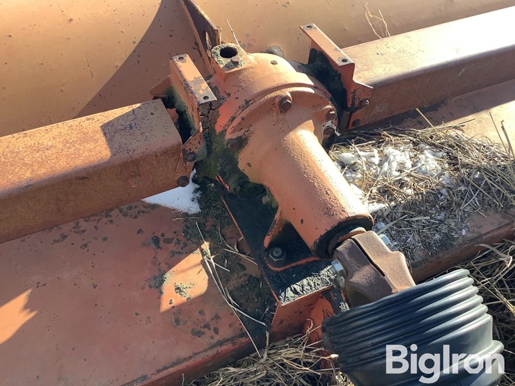 international-60-image-14