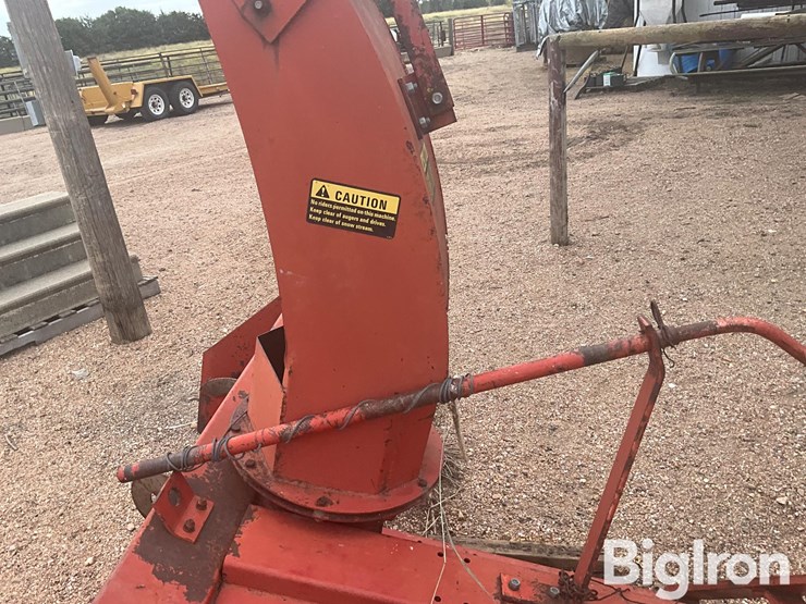 international-70-image-10