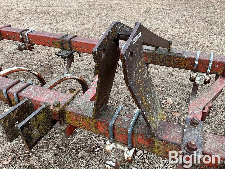 international-55-image-11