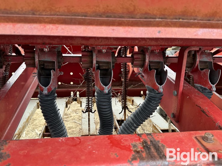 international-620-image-20