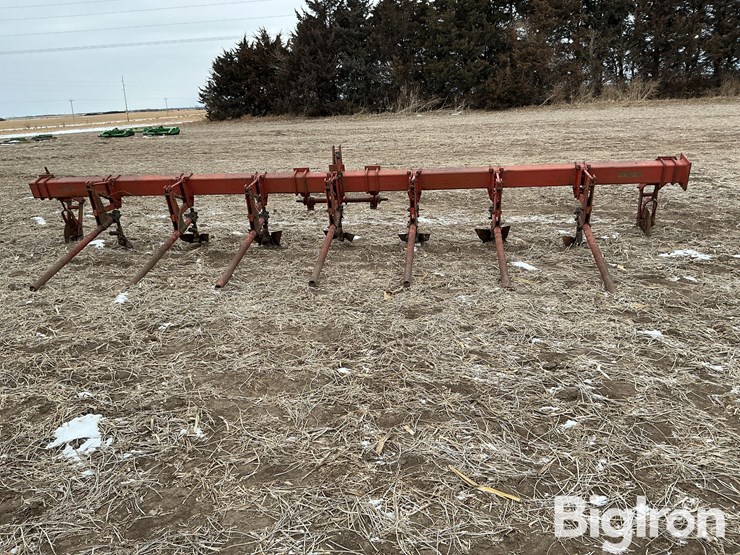 international-3-image-6