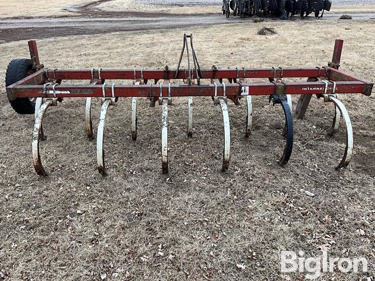 international-55-image-6