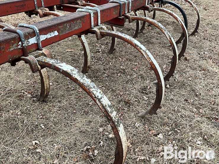 international-55-image-19